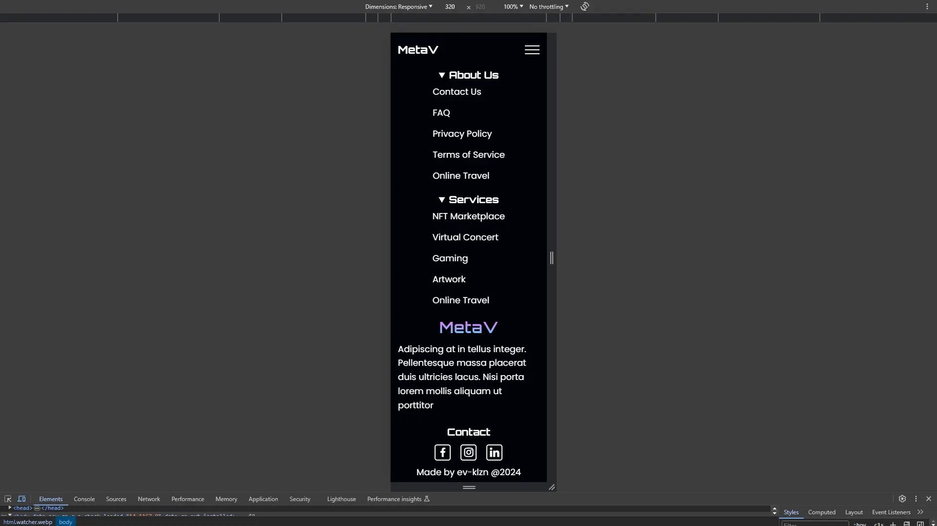 MetaV Image